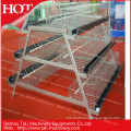 Hot Sales for Chicken Poultry Equipments